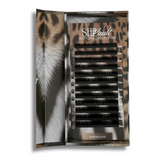 The Bottom Line Collection